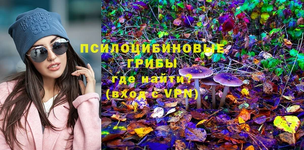 прущая мука Магас