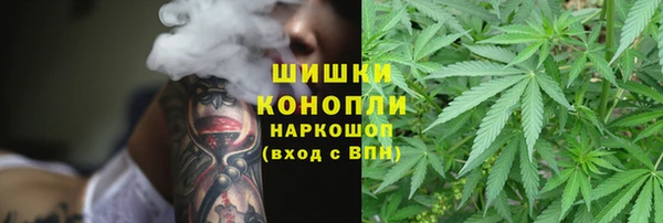 ECSTASY Мегион