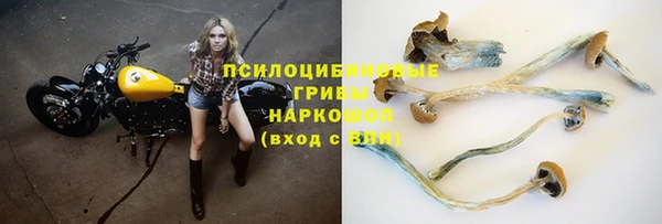 гидропоника Магадан