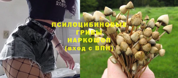 прущая мука Магас